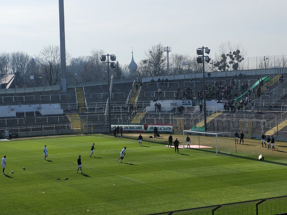 Forza Porcoforte