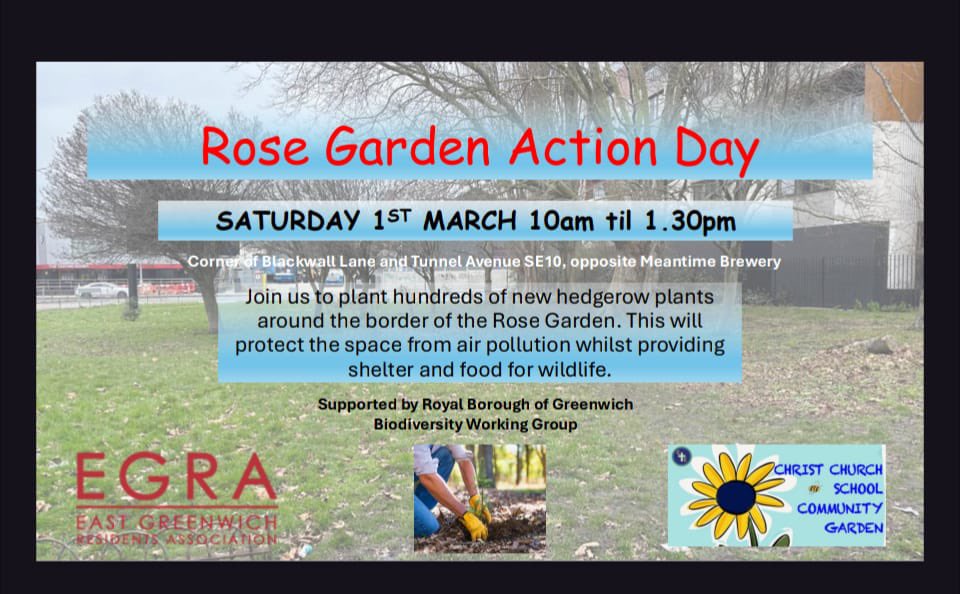 Rose Garden Action Day! Please join us for a community action day on Saturday 1st March, 10-1.30pm, planting new hedgerows in the East Greenwich Rose Garden (Off Tunnel Avenue).