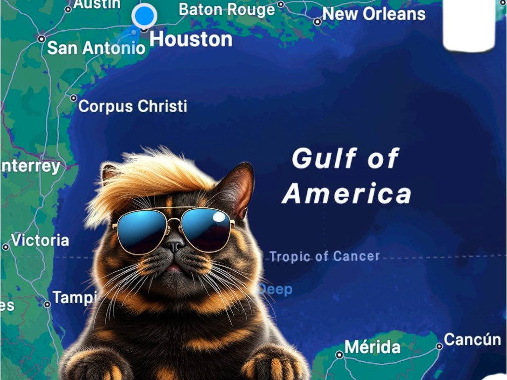 TrumpCatLeader's tweet photo. ๐พ Happy Caturday, patriots! From the Gulf of America to every corner of our nation, letโs celebrate the feline spirit and stand strong. Drop your handles, follow, and follow backโtogether, with the #TrumpCatLeader, weโre making America purr-fect! ๐ฑ๐บ๐ธ #CatsForTrump #MAGA #CaturdayVibes
@reallyeran1987
@UnsinkableDolly
@Trump_Vance
@MagaTrumpF
@USAalways1234
@MARINFILM
@Xmemecentral
@95BravoColorado
@Dream0nMe
@TheDallasMalloy
@AmmaSandy347
@ByUrLeave_Com
@DebbieC8705
@apljak6502
@itspauldaniels
@FastbreakHoops5
@Sjmbtwq
@Richard_rich311
@TheBlacSheep101
@UncleBosey1
@xKaprice
@tam_georges
@CatskillGirl_11