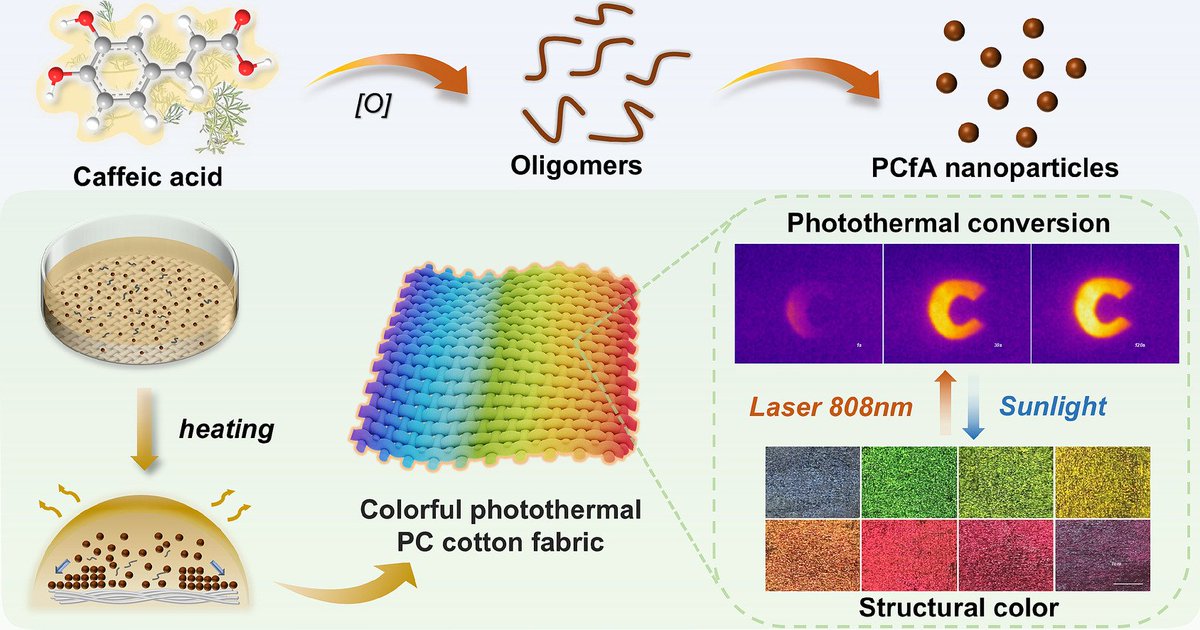 Check out our new collaborative paper on color-changing and photothermal melanin-like materials!
sciencedirect.com/science/articl…
