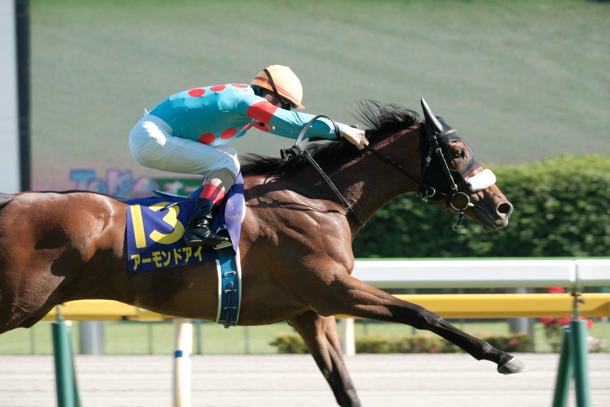 おむあん萌子 (@moeko721) / Posts / X