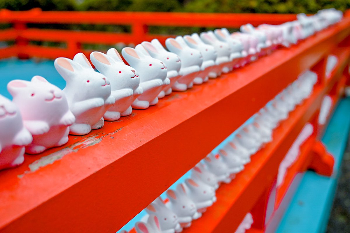 京都へ

修学旅行以来？なので、ほぼ初見に近い感覚で観光できるのが楽しい⛩️

おじさんになって、感じ方が変わったのもあるかもね

時折り雪が降ったりで、雪降る京都もなかなか風情があって良き良き❄️
#京都