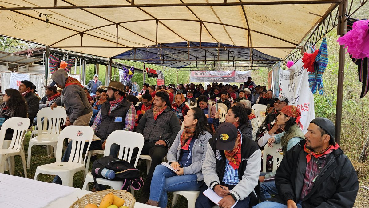 codepoaxOficial's tweet photo. Acompañando a los compañeros de la OPEZ-FOSICH de Chiapas en su 33 Aniversario.
Nos hermana nuestro origen común y el proyecto estratégico por la construcción del #PoderPopular.
¡¡Organizar-Conscientizar-Movilizar!!
¡¡Ocupar, Resistir, contruir: Poder Popular!!
#OPEZ #FOSICH https://t.co/1s0Rn9ZTWI