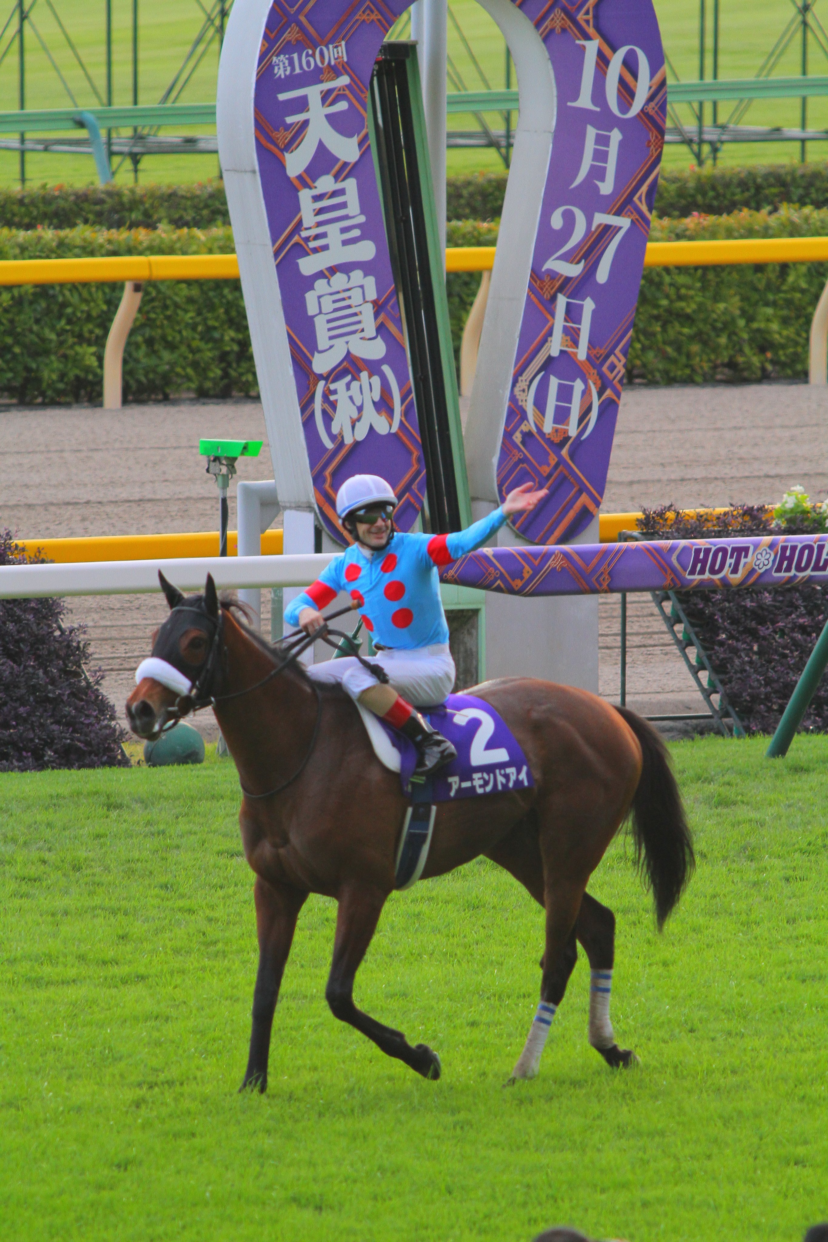 オグリキャップ ウマ娘 シンデレラグレイ オグリキャップ 1/7 完成品フィギュア