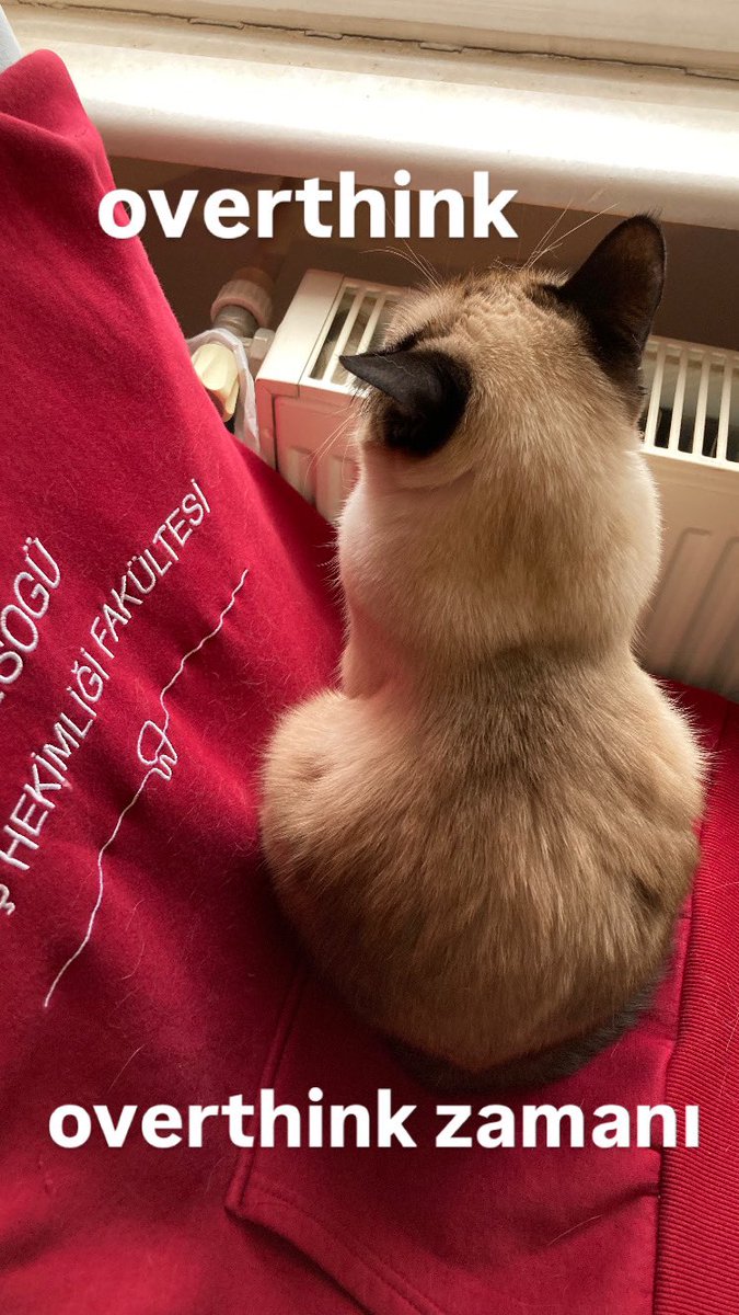 345 ayt fizik baciyi gorunce gelen