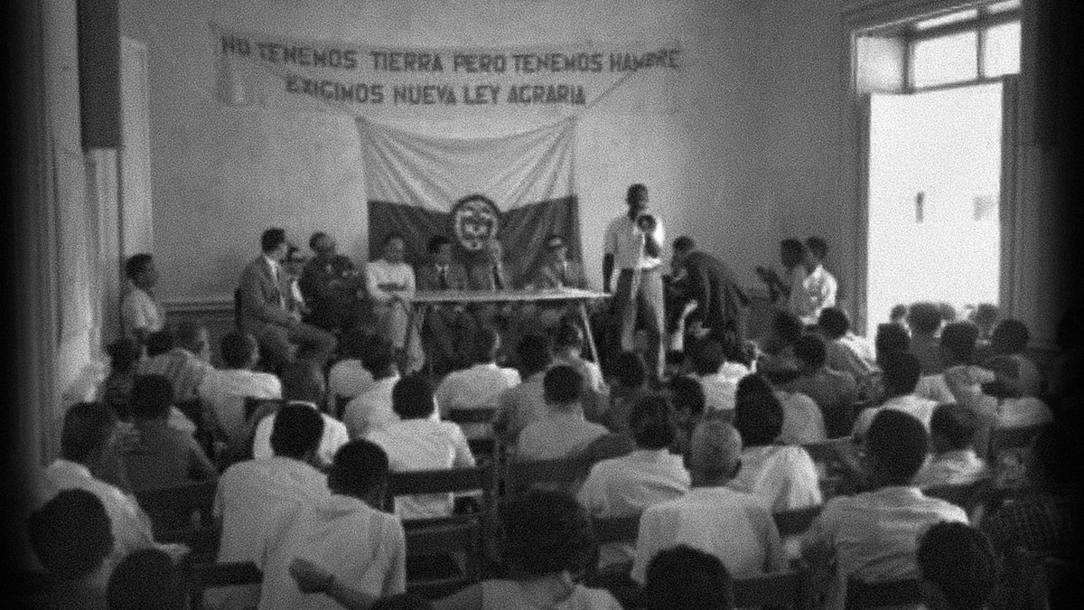 María José Pizarro Rodríguez tweet media