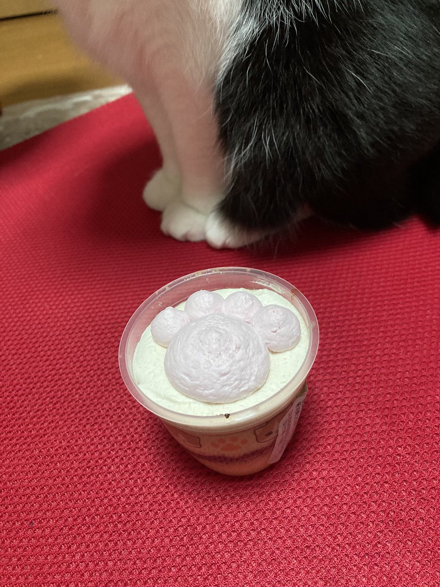 theremin2018_3's tweet photo. かわいいてぃにゃみす
 #猫の日 https://t.co/1B1S1nNsgq