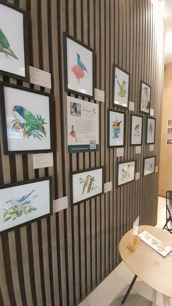 En el marco de  la <a href="/ColombiaBF/">Colombia Birdfair</a>, llega la #exposición "Plumas y Colores: La belleza de las #aves vallecaucnas en trazos naturalistas" 🦜de la artista María Cristina Reyes propietaria de <a href="/OPoeticos/">Objetos Poéticos</a> 🌟 Hotel Ibis Granada  Av 8 norte 21Norte-40,  por el mes de febrero 2025.