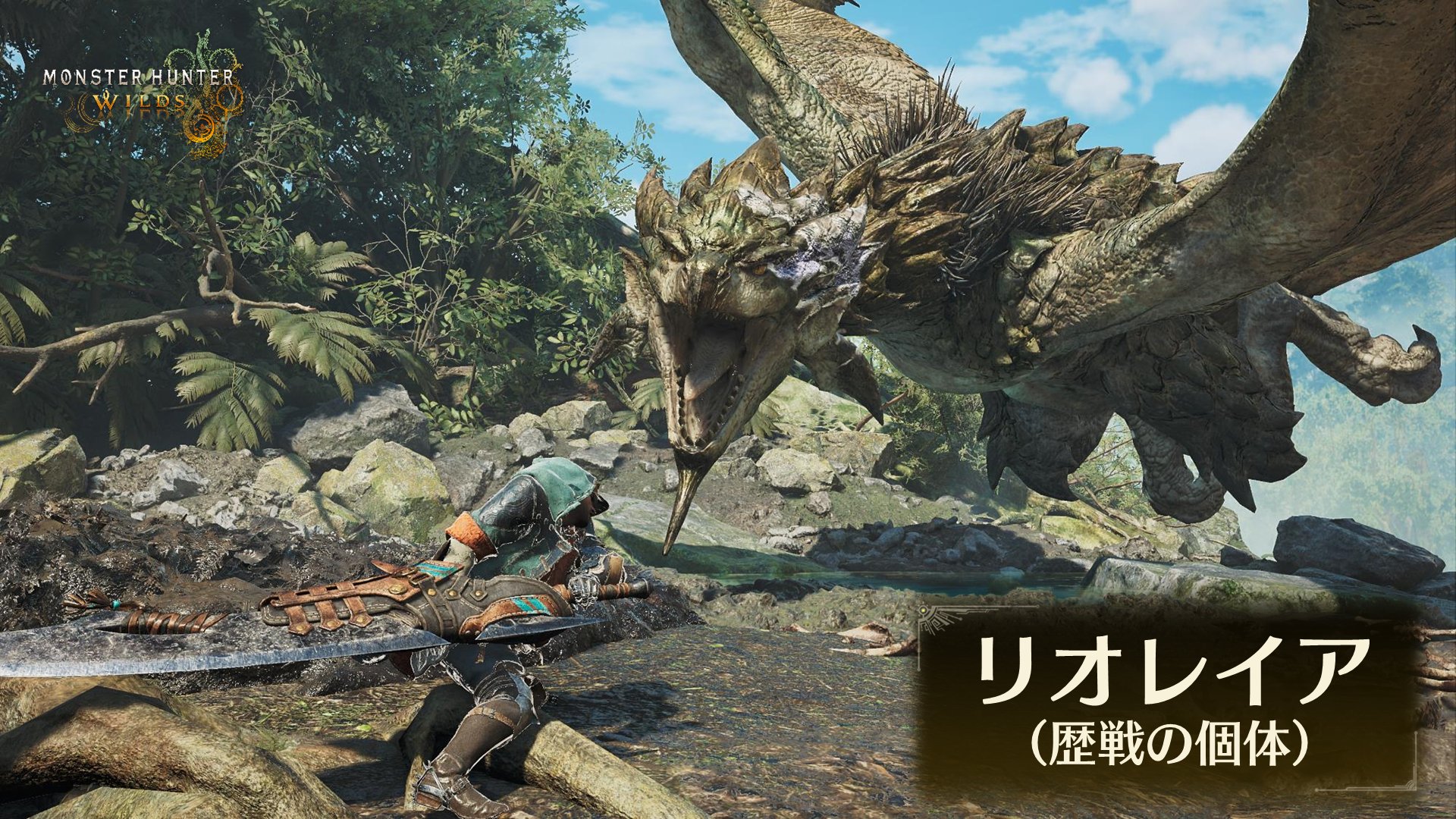 モンスターハンターワイルズ 71dqAjG1cDL.jpg