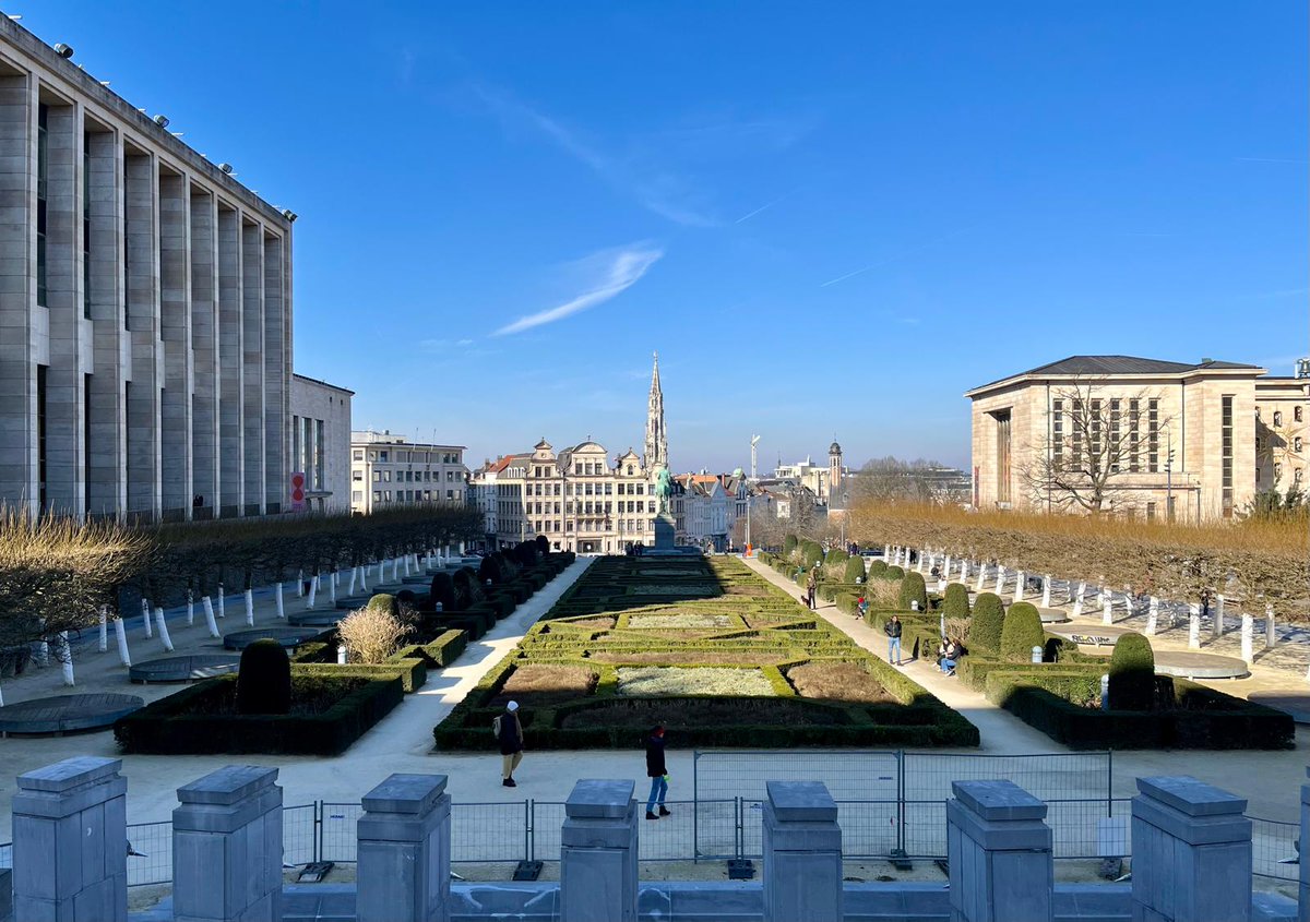Lille actu tweet media