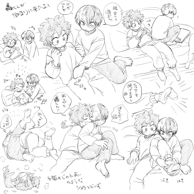 猫化結構描いてるけど、とどいずどっちも猫になってるの左下のやつしかないかも 