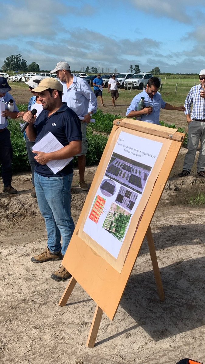 Maltese_Nico's tweet image. Jornada de soja en zona baja..
-Genética adaptada al anegamiento
-FS x GM
-Rotaciones arroz, soja, sorgo, pasturas
*Sistemas soja y maíz regados con geonivelacion y en camellones 🌱
@INIA_UY
@JoseATerra1
@MazzilliSR