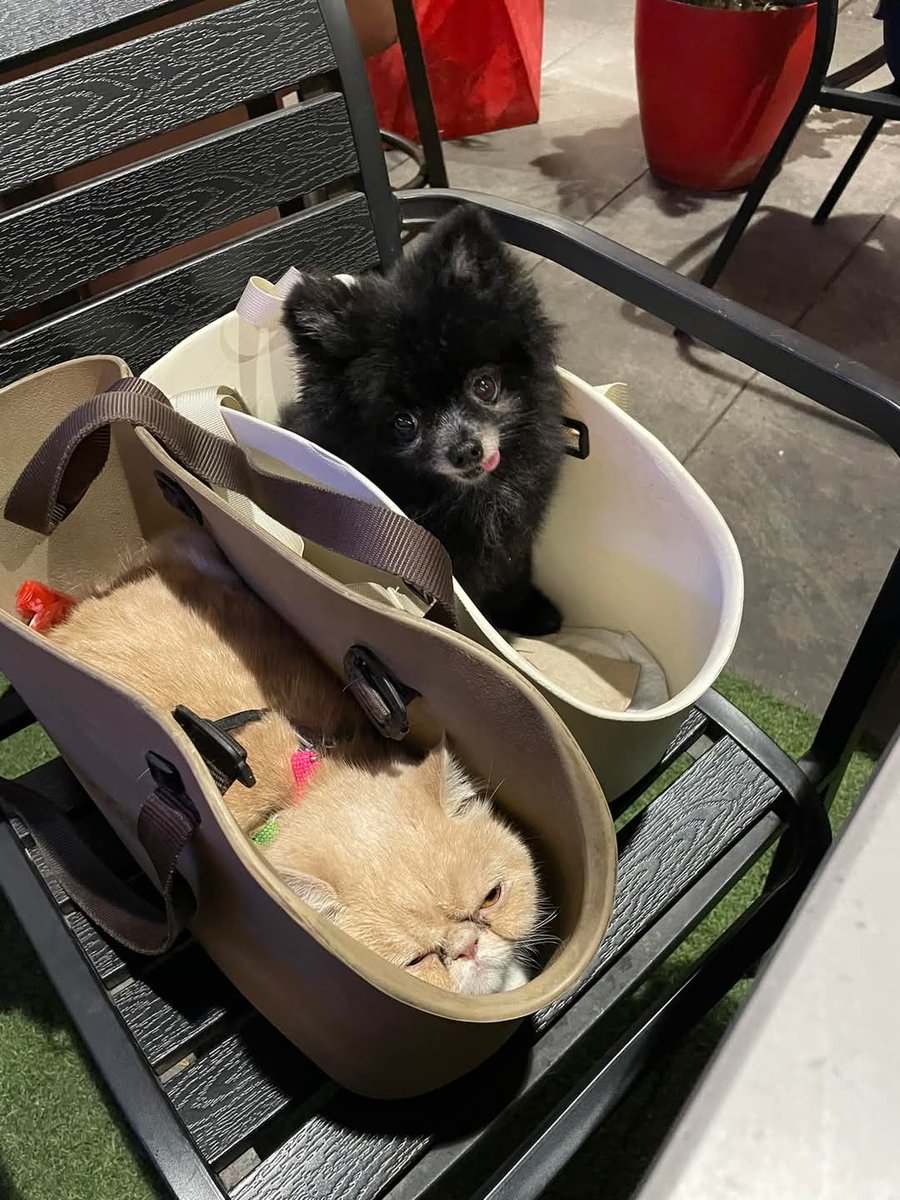 Saturday nite out with the kids...