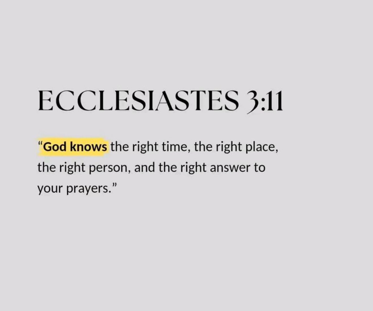 educatedhustler's tweet image. 