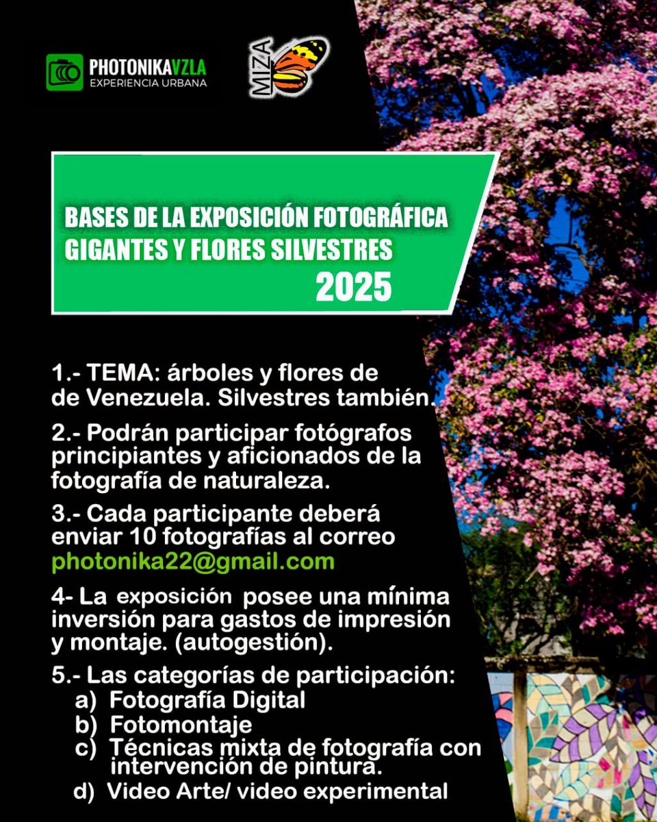 Participa en la exposición fotográfica “Gigantes y Flores Silvestres" de Photonika y MIZA . Maracay, Aragua. Recepción: hasta 15 Marzo 2025 
Info: 0412-4002311 y photonika22@gmail.com