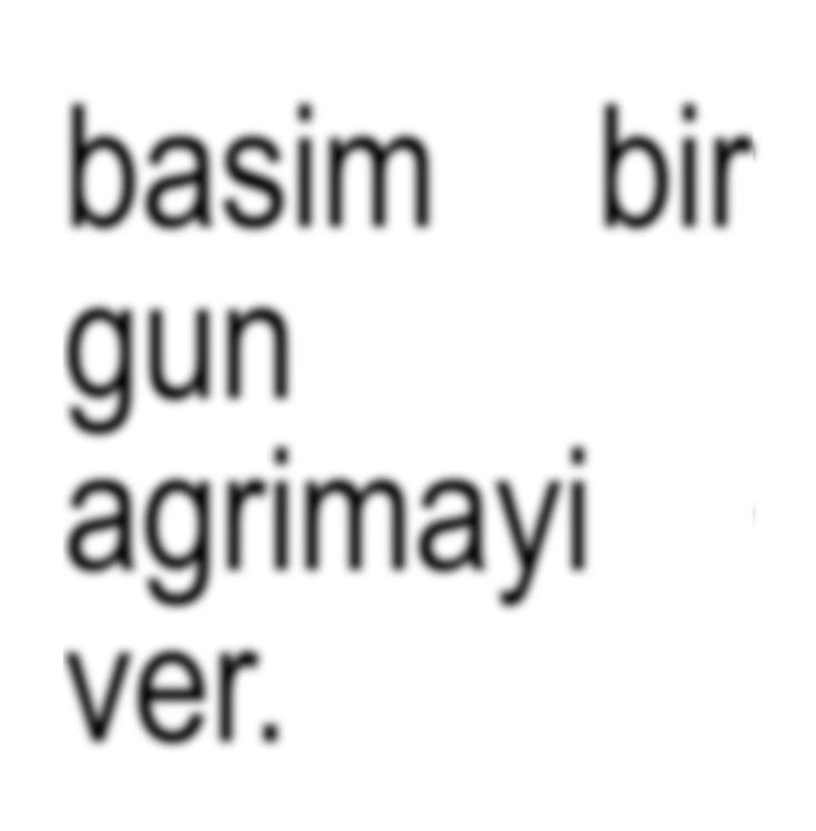 Lütfen ya