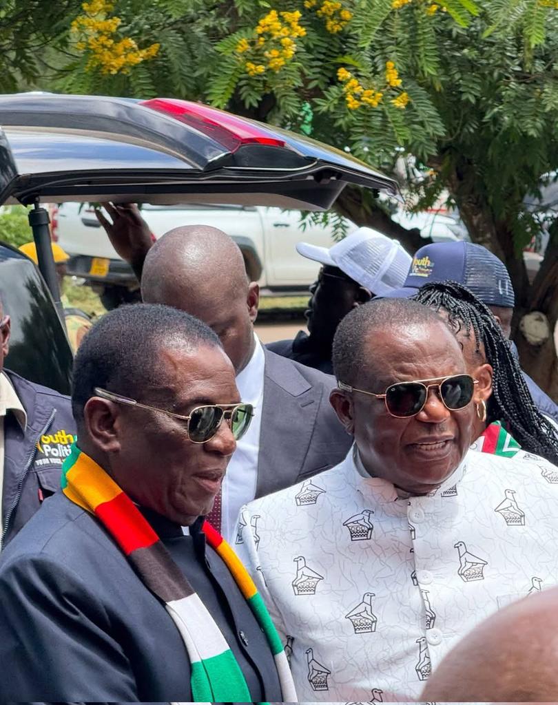 Dereck Goto tweet media