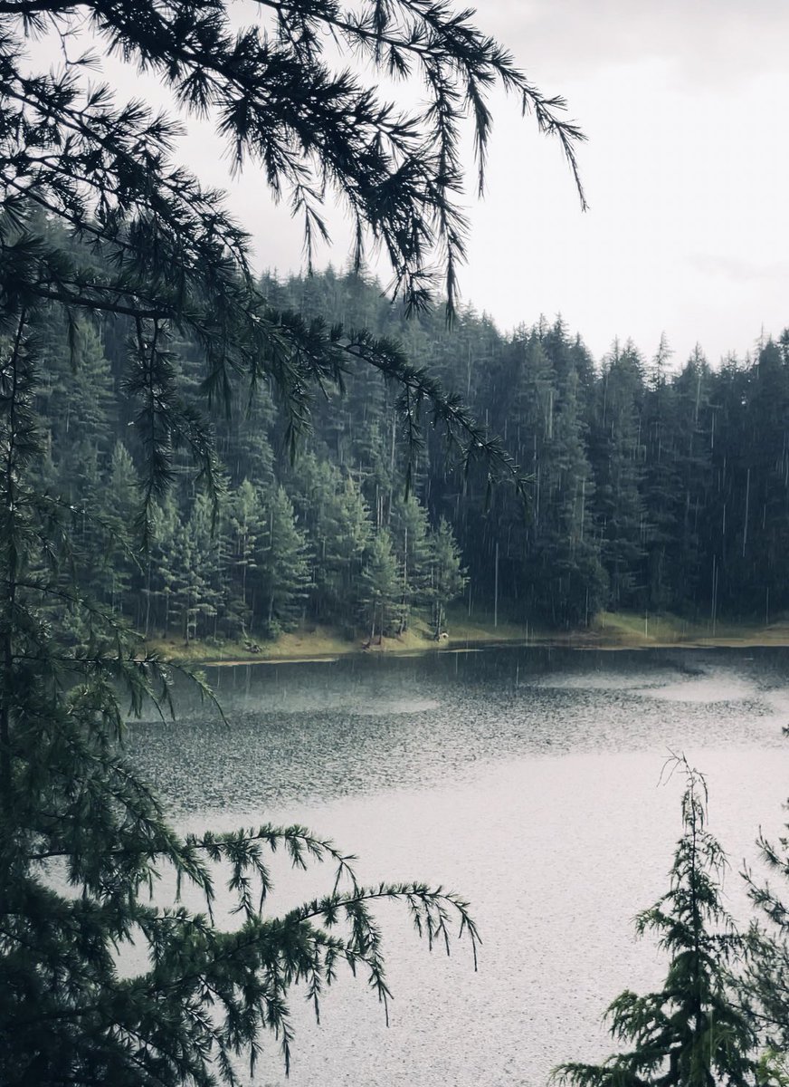 Stills from an unseen film—just rain, silence, and a story untold.

#Kashmir