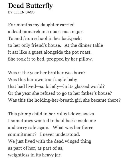 buy FENESTRATION tweet media