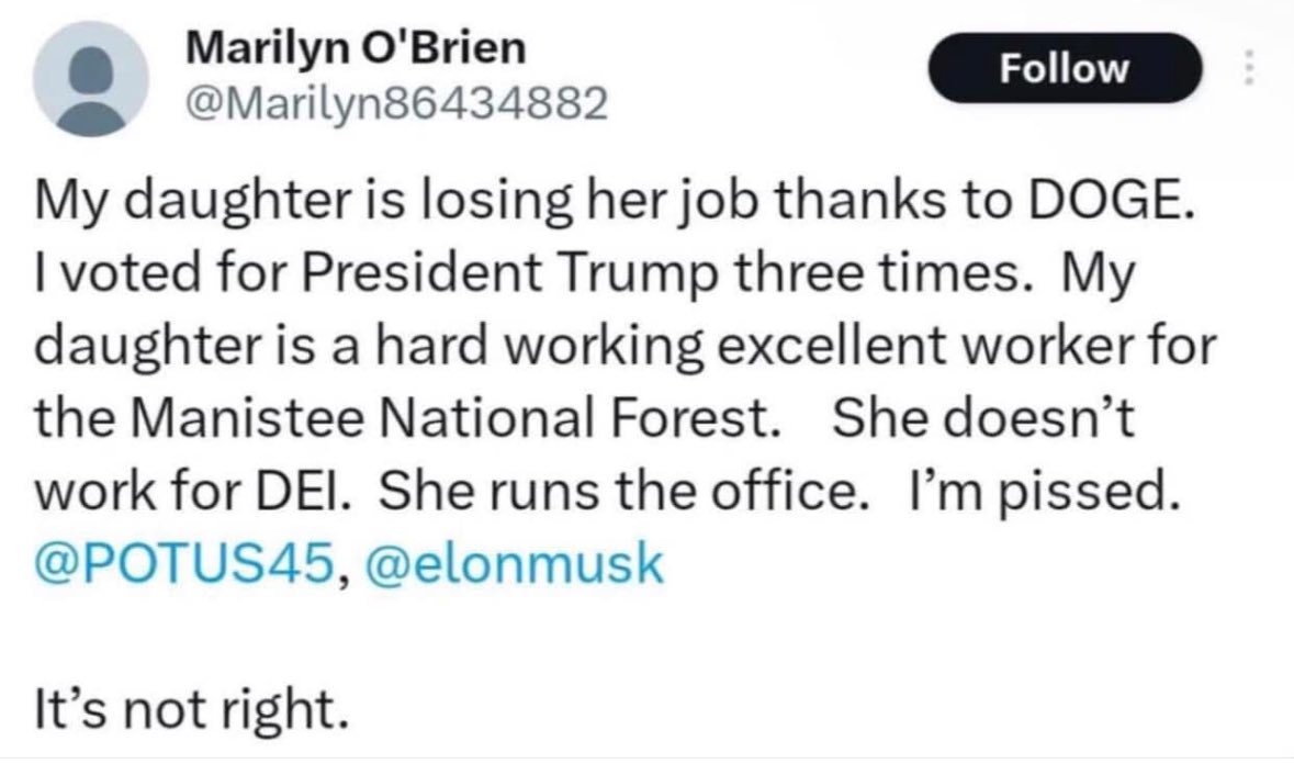 Annie tweet media