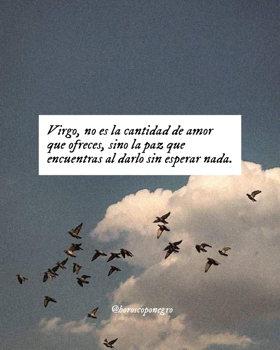 Reflexión del día 🔮