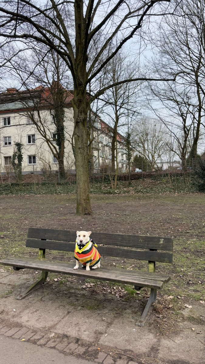 bendogurdum's tweet photo. Bremen Pakize su bankı https://t.co/3SkAKqrWL6