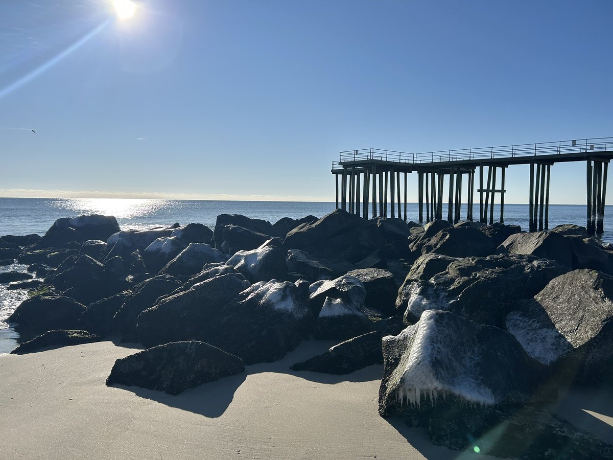 ZenAi Contact Support (@zenai_support) on Twitter photo 