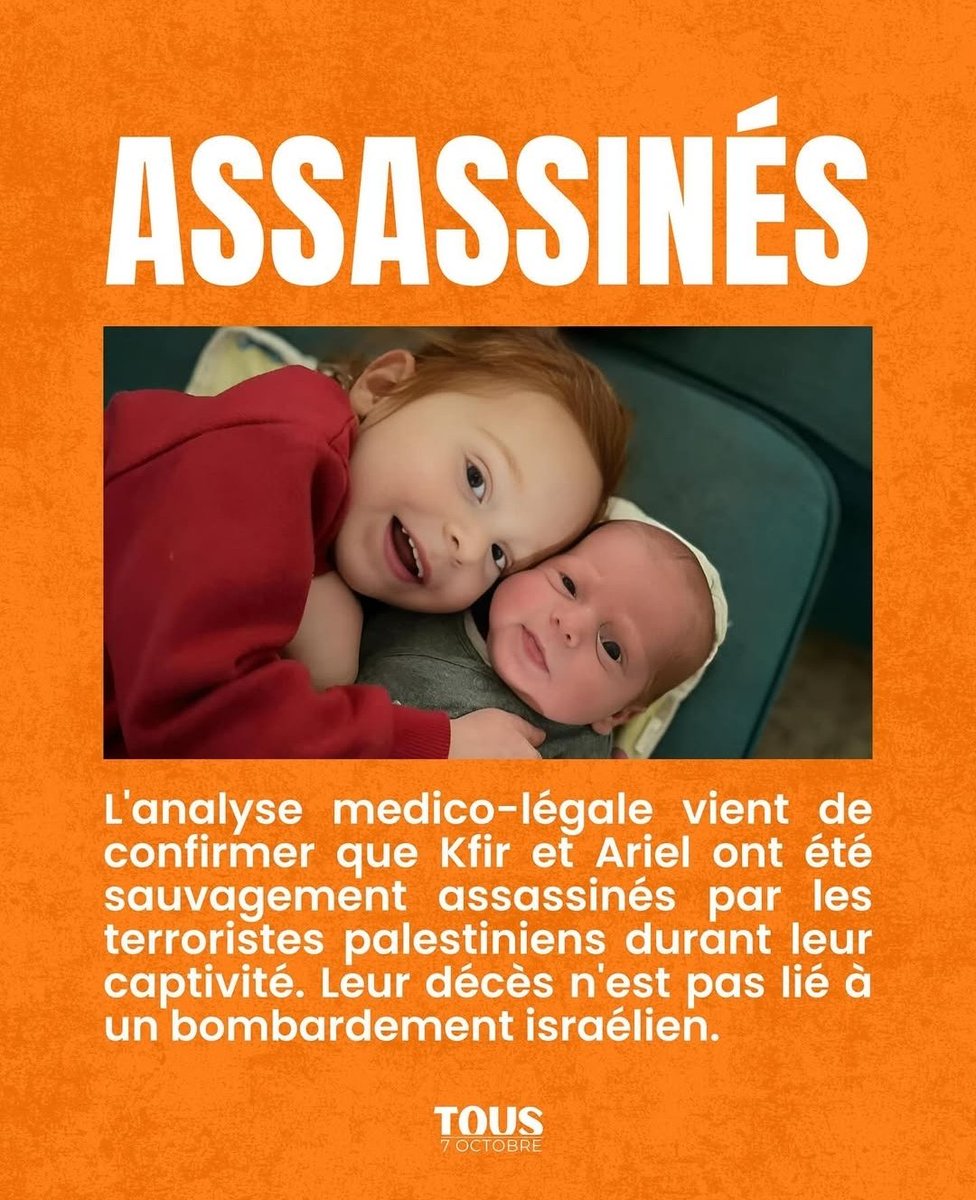 🎗️Olivier Post 🇫🇷🇪🇺🌻 tweet media
