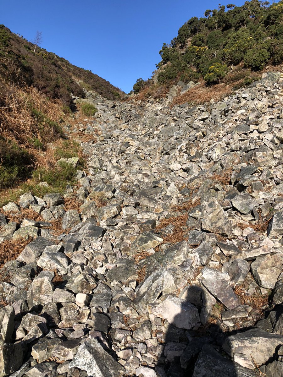 JuJu Jay tweet media