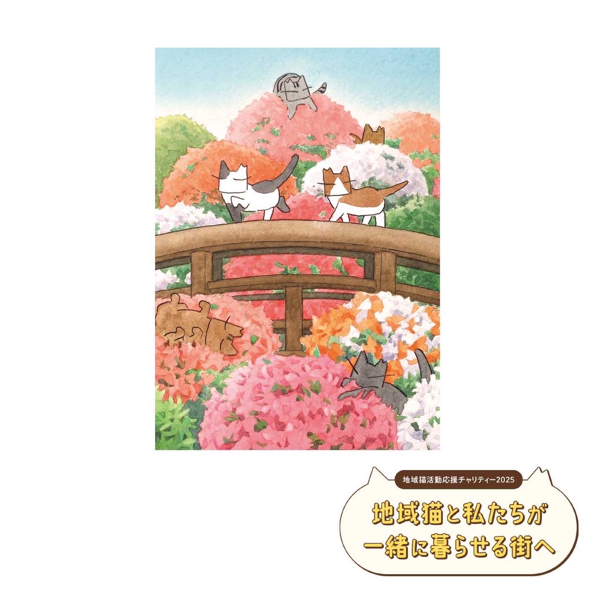 Tomoaki Kubo (@tomoakikubo) / Posts / X