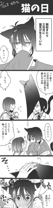 🐱の日
※みかさに/刀さに 