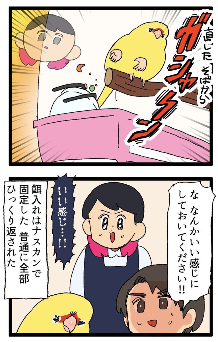 飼い主さんと頑固インコちゃんの攻防戦🆚
……インコちゃん、楽しんでる節もあります😂
🦜キガシラアオハシインコ
2033 #えるポピの絵日記かくところ
