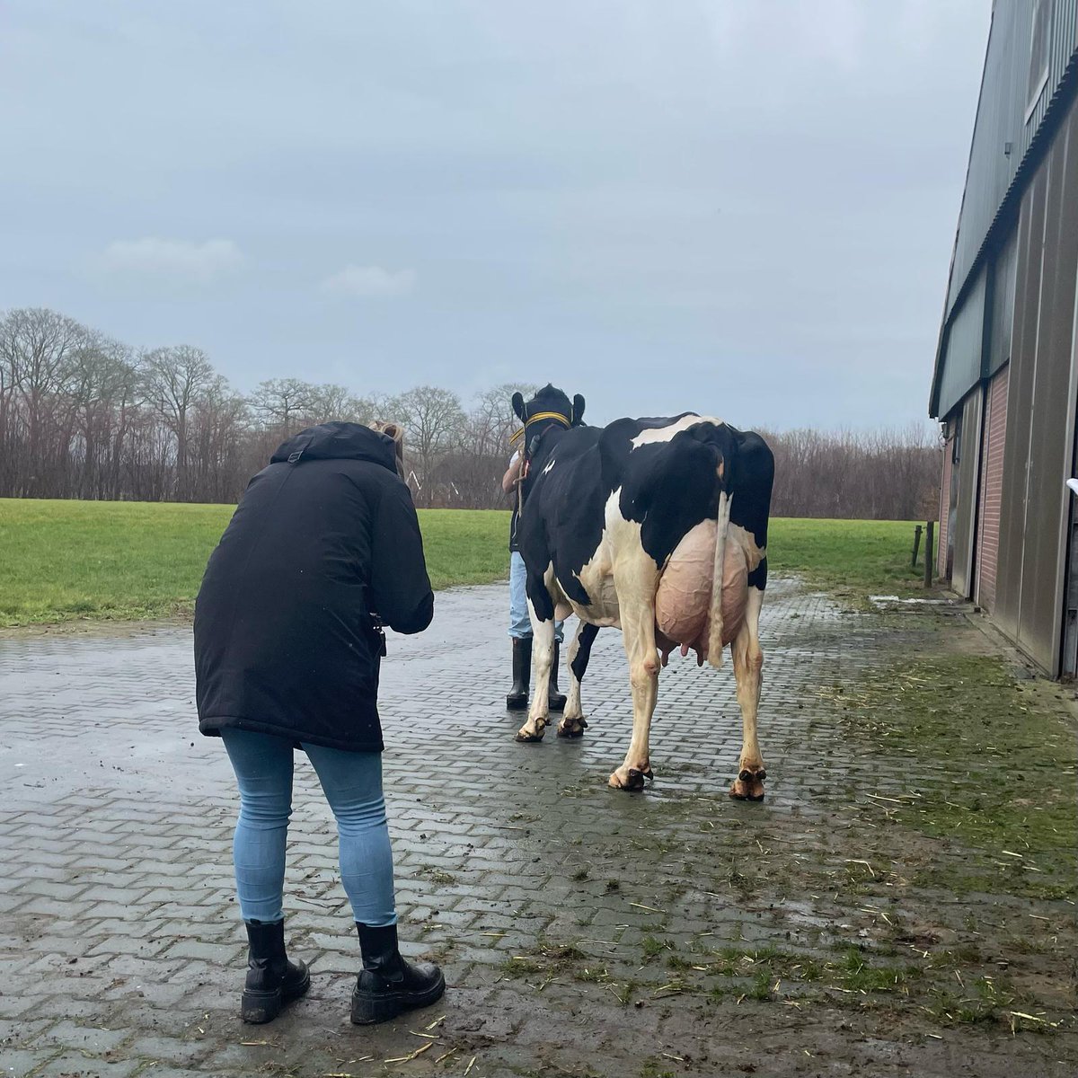 Rudie Haarman tweet media