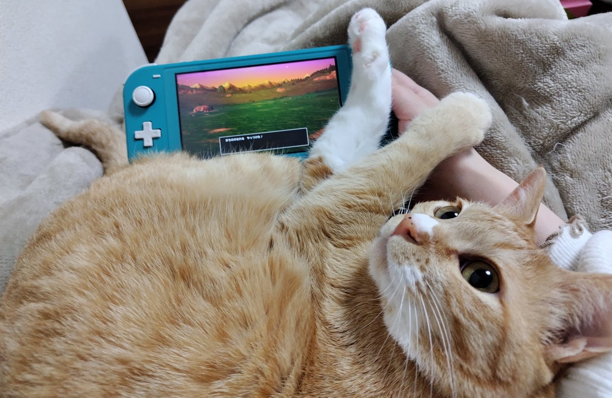 ゲームおじゃまむしネコ
#猫の日だから1番のお気に入りを貼る