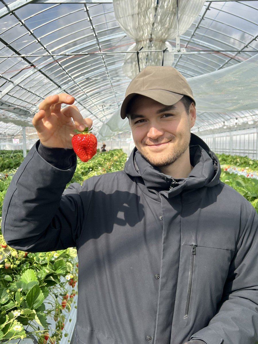 AlsterGarten's tweet photo. ヤクモファームの紅ほっぺを使用した苺のタルティーヌ🍓

期間限定で販売です！！！

無くなる前にぜひお召し上がりください！！ https://t.co/8iX4P1Jmve