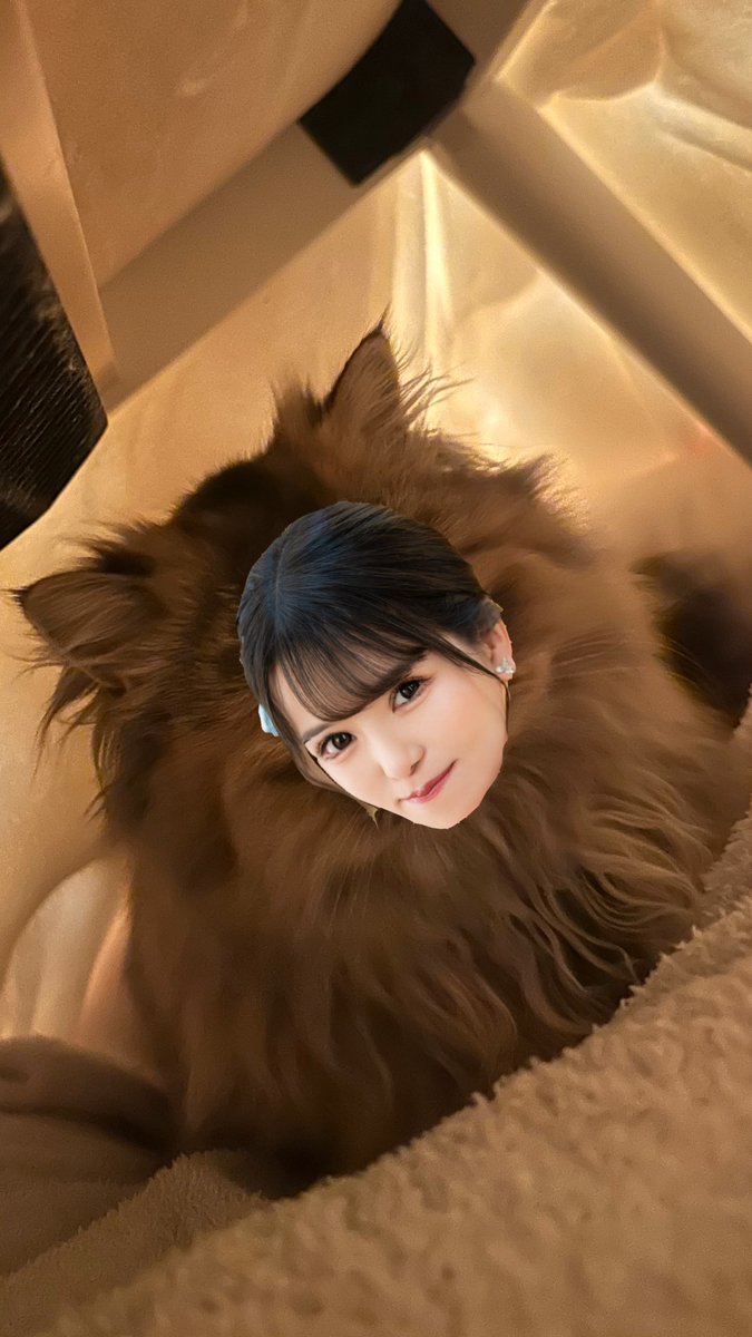 ふわり様 Fuwarii - 【新品 未使用 保証書付き】協和 ふわりぃランドセル