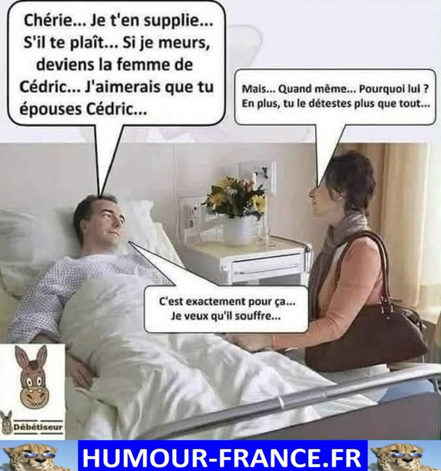 text alternatif
