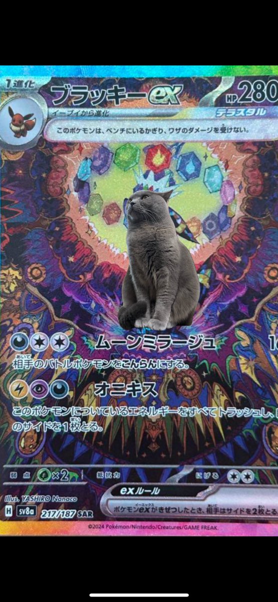 〖タグ付〗ハロウィン限定セレビィ ぬいぐるみ セレビィ Celebi's Celebration ｜【公式】ポケモン