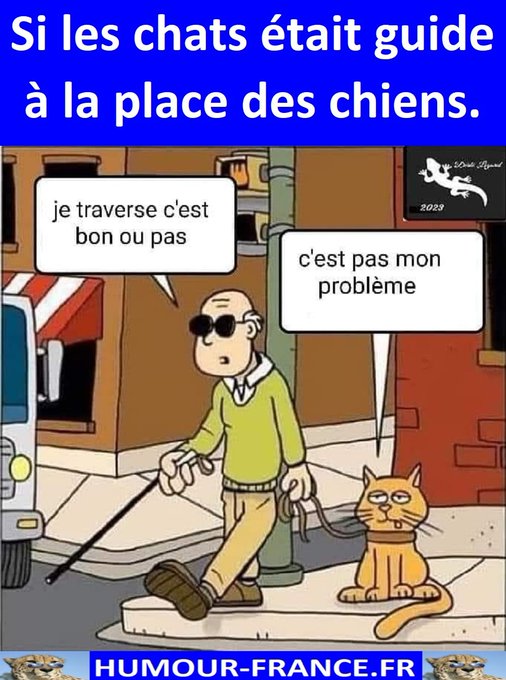 text alternatif