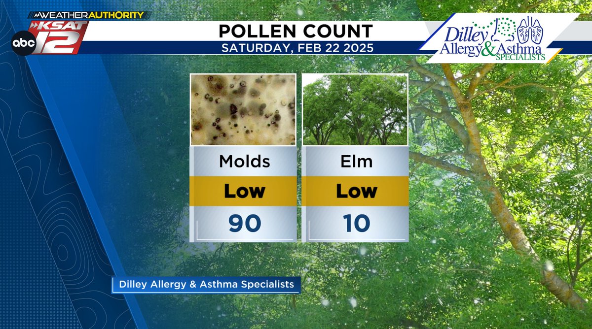 Mia Montgomery tweet media