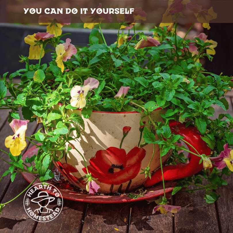 🌵 Succulent Planters: Turn old teacups or toys into succulent planters for a quirky touch to your home or garden. #Succulents ... #homesteading #homesteadingcanada #farming #farm #countryliving #gardening #homesteadliving #smallfarm #farmher #garden #farmstead #backyardhomestead