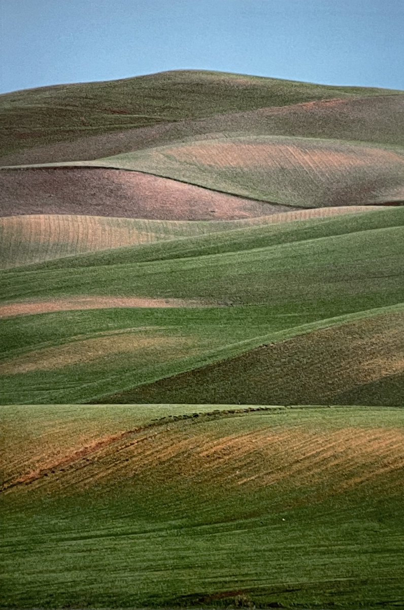 Exposition Franco Fontana
Museo dell’Ara Pacis 
<a href="/Roma/">Roma</a>
