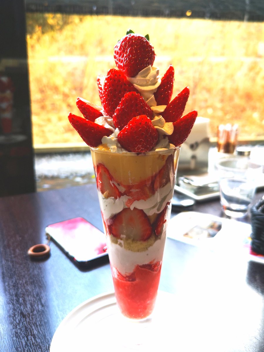 たまにはカフェでゆっくりと
古都華パフェ美味しかったです
#mayupyepic
#イチゴパフェ
#古都香