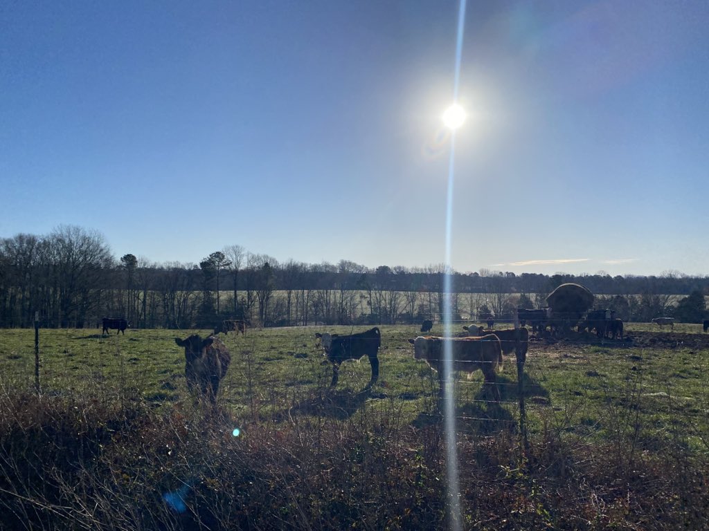 BA⚡️J0 tweet media