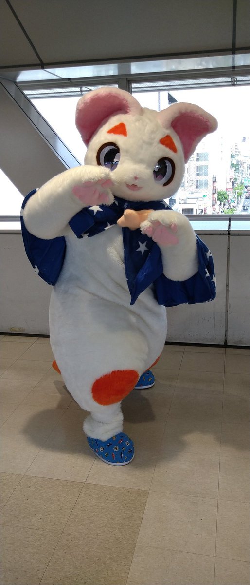 水郎　ルキノ4th＆綿柱 tweet media