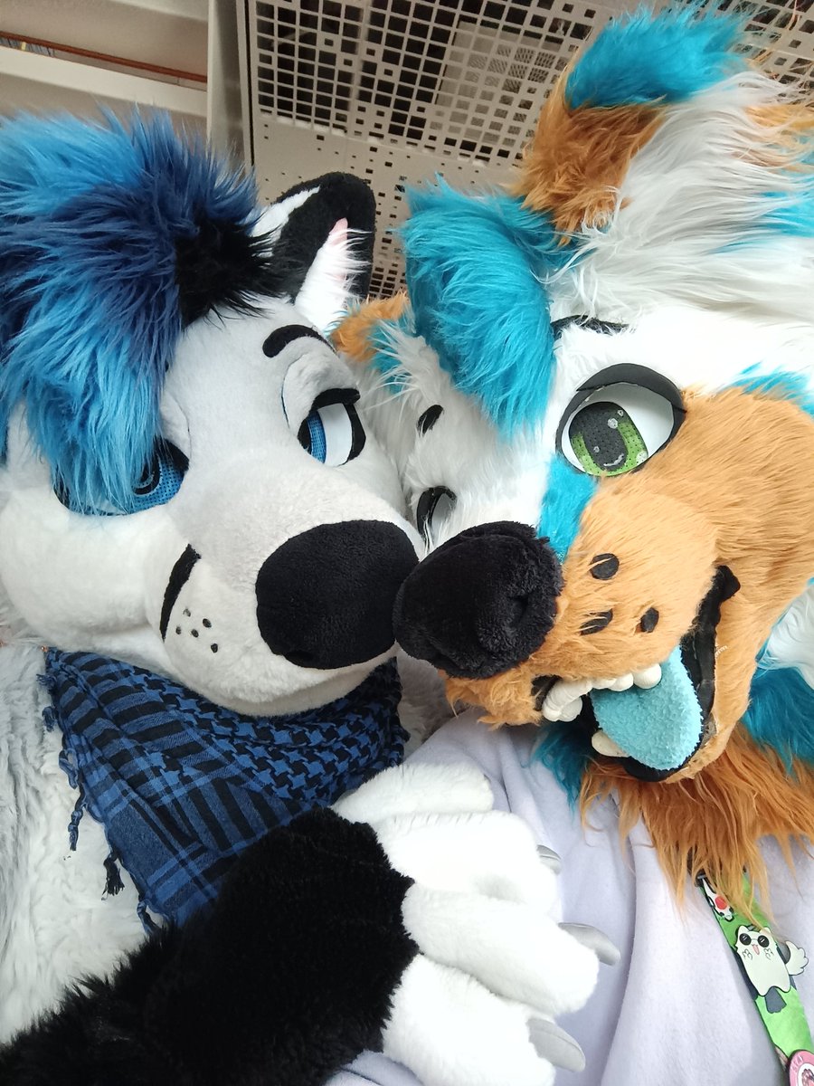 <a href="/RiyoRiyote/">Riyo ➡️ Scotia, NFC, LVFC</a> Worth it!