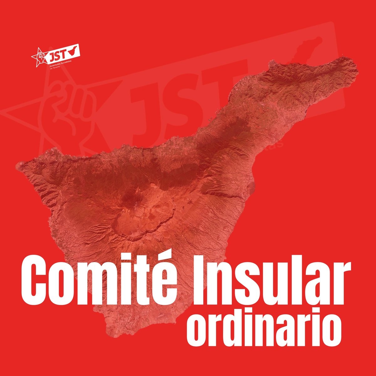 JS Tenerife tweet media
