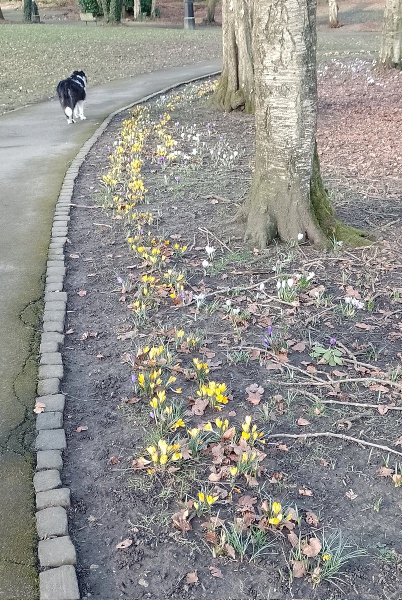 Spring is coming to Parfold Park 🌷