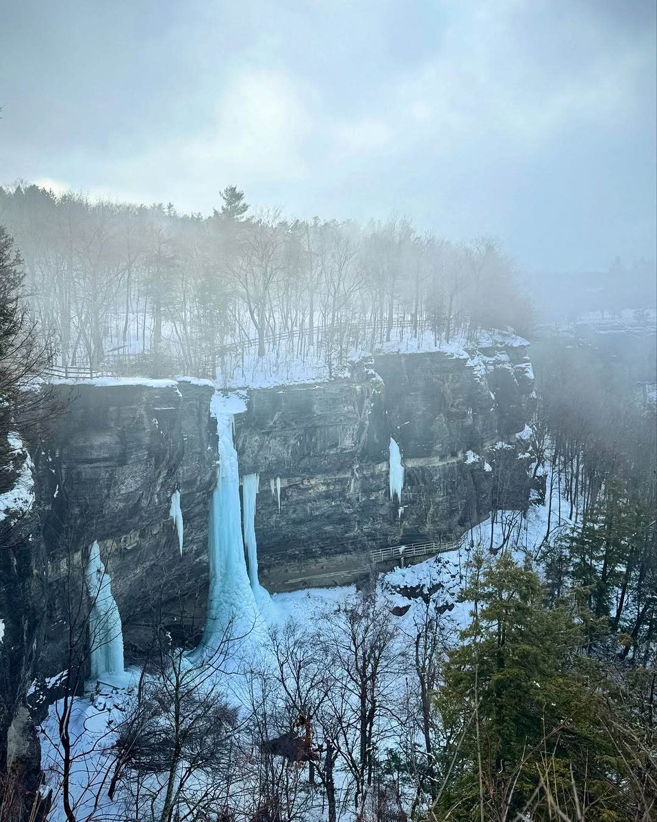 discoveralbany's tweet image. ❄️ Frozen in time at Thacher State Park ✨

📸 mleajohnston on IG