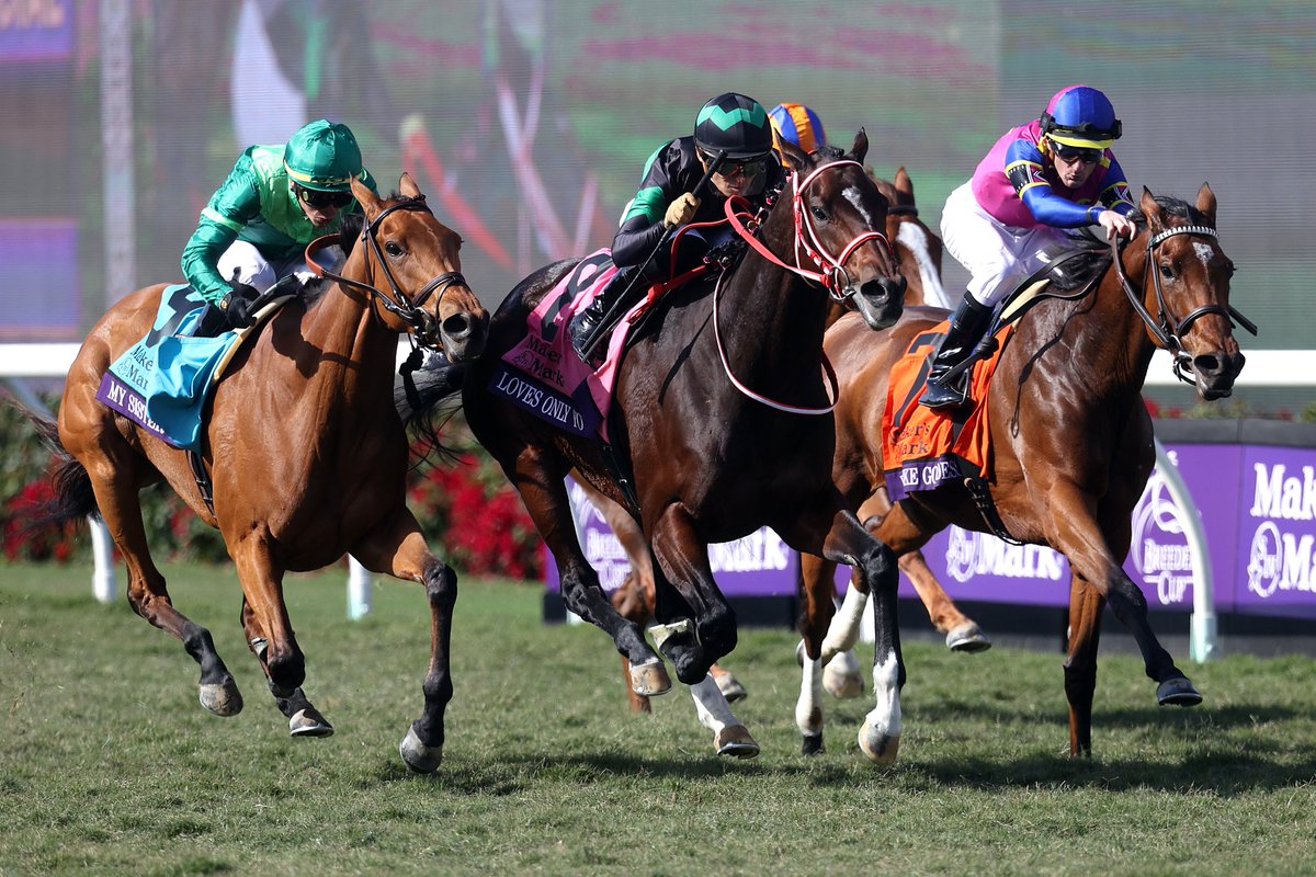 Idol Horse on X: 